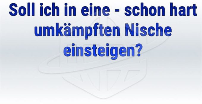 Soll ich in eine – schon hart umkämpften Nische einsteigen?